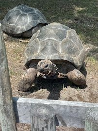 Broadway Zoological Park photo 4