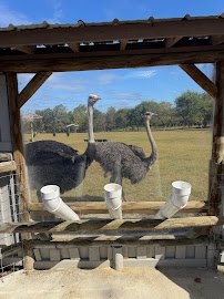 Broadway Zoological Park photo 6