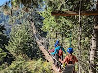 Timberline Adventures photo 4