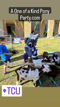 A One of a Kind Petting Zoo photo 2