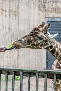 Sedgwick County Zoo photo 3