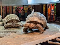 Sedgwick County Zoo photo 4