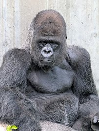 Sedgwick County Zoo photo 5