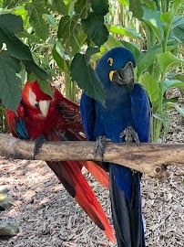Sedgwick County Zoo photo 6