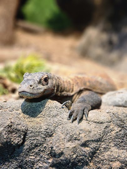 Reptilandia Zoo