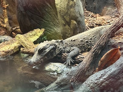 Reptilandia Zoo photo 3