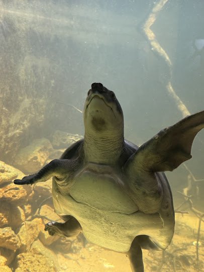 Reptilandia Zoo photo 6