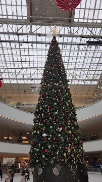Lloyd Center Ice Rink photo 2