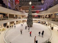 Lloyd Center Ice Rink photo 3
