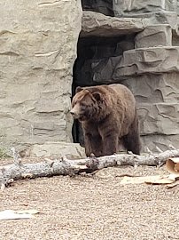 Detroit Zoological Society