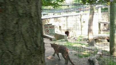 Manitowoc Lincoln Park Zoo photo 2