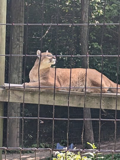 Manitowoc Lincoln Park Zoo photo 4