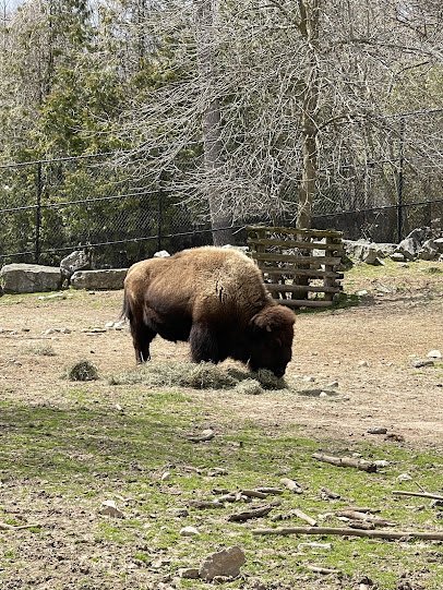 Manitowoc Lincoln Park Zoo photo 6