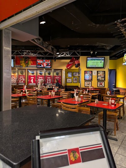 Chicago Blackhawks Roller Hockey Rink