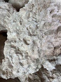 U.S. Live Rock, LLC - Saltwater Aquarium Live Rock photo 4