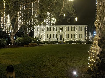 Kaminski House photo 4