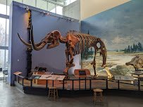 Museum of the Earth