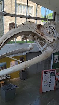 Museum of the Earth photo 2