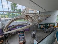 Museum of the Earth photo 4