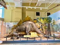 Museum of the Earth photo 5