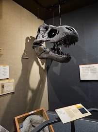Museum of the Earth photo 6