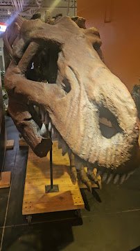 Long Island Children's Museum photo 2