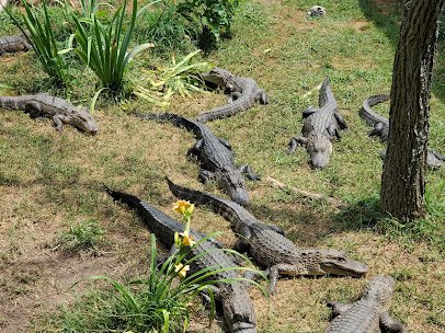 Alligator Sanctuary photo 5