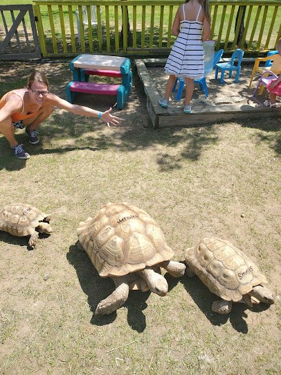 Alligator Sanctuary photo 6