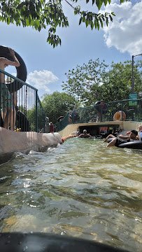 Schlitterbahn photo 4