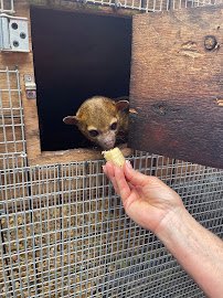 Florida Madagascar Exotic Zoo and Sanctuary photo 3