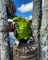 Florida Madagascar Exotic Zoo and Sanctuary photo 5