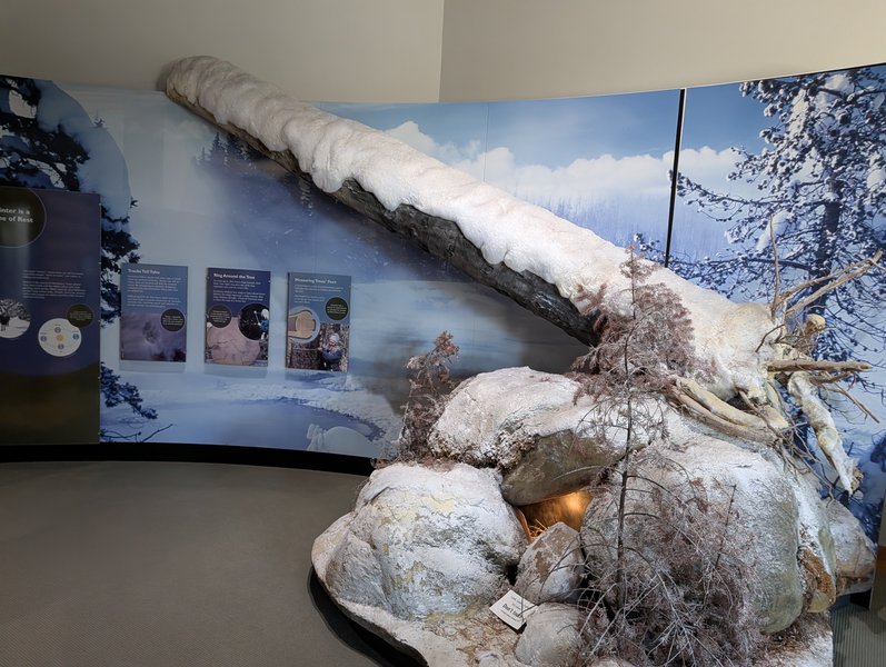 Draper Natural History Museum photo 5