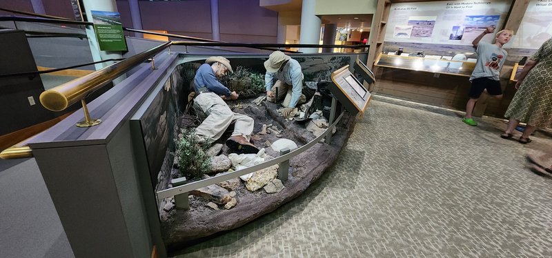 Draper Natural History Museum photo 6