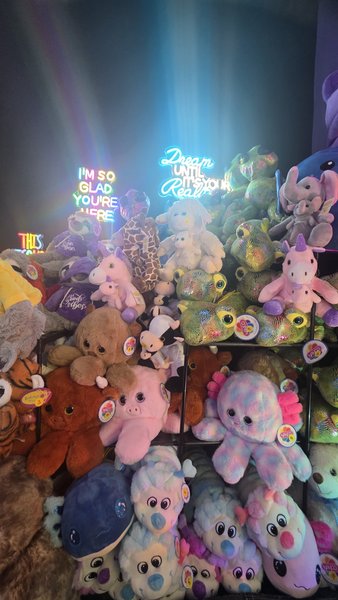 The Claw Zone photo 5