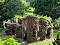 Morris Arboretum & Gardens of the University of Pennsylvania photo 5