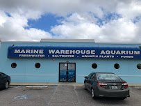 Marine Warehouse Aquarium