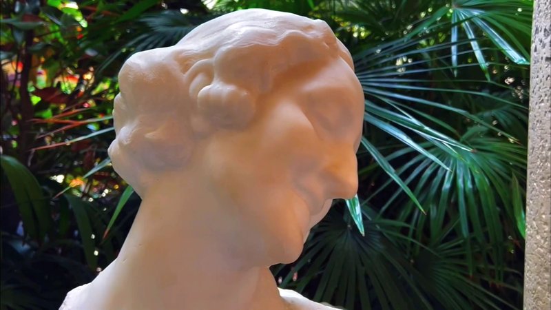 Vizcaya Museum & Gardens photo 2