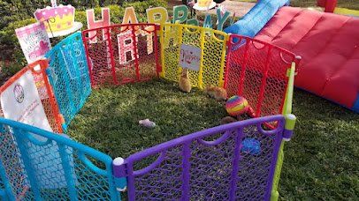 Bella's Little Farm, Mobile Petting Zoo