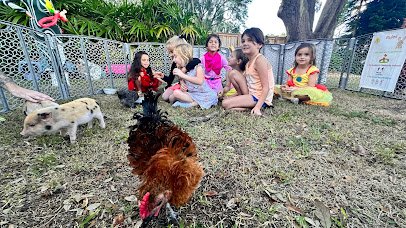 Bella's Little Farm, Mobile Petting Zoo photo 6