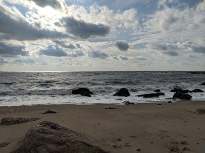 Meigs Point Nature Center photo 6