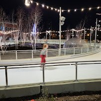 Ironworks Ice Rink photo 3