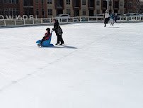 Ironworks Ice Rink photo 4