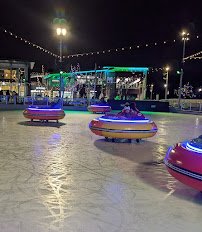 Ironworks Ice Rink photo 6