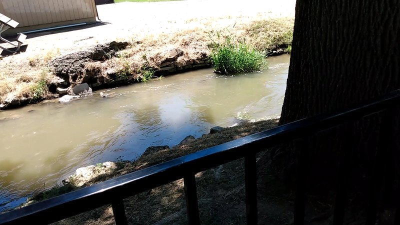 Lakeview Water Park photo 2