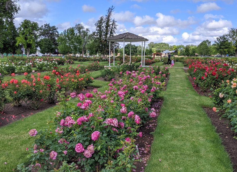 Lakeview Water Park photo 5