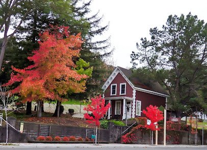 Novato History Museum photo 5