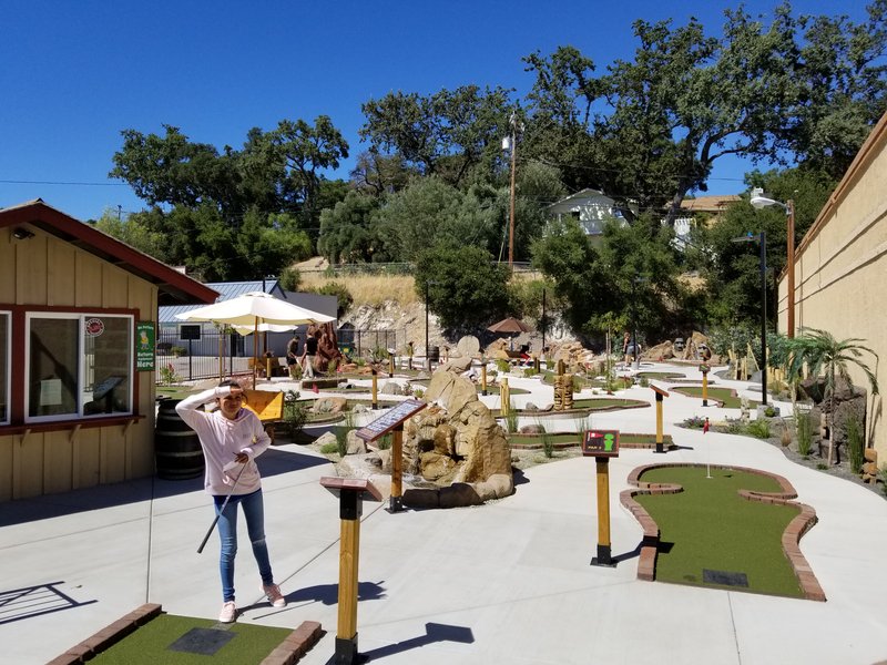 Mr. Putter's Family Fun Center photo 2