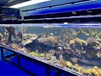 Reef Keepers Aquariums