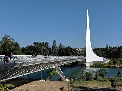 Turtle Bay Exploration Park photo 3
