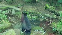 Pritzker Family Children's Zoo photo 2